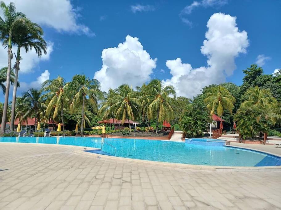 a resort swimming pool with palm trees in the background at Studio &quot;Prestige&quot; Sainte Luce in Sainte-Luce