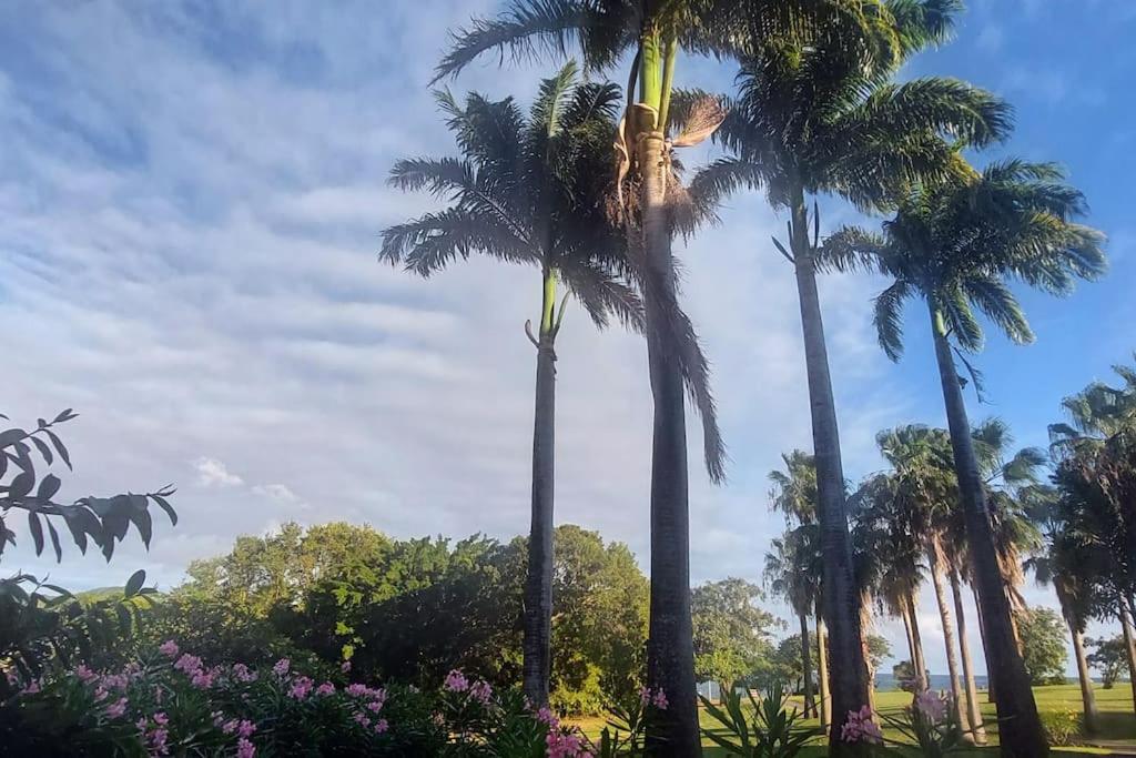 a group of palm trees in a park at Studio &quot;Prestige&quot; Sainte Luce in Sainte-Luce