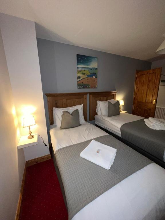 Postel nebo postele na pokoji v ubytování Dingle Marina Lodge