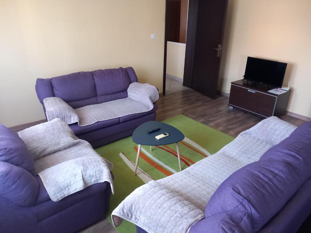 - un salon avec deux canapés et une télévision dans l'établissement Apartment Filipovic, à Podgorica