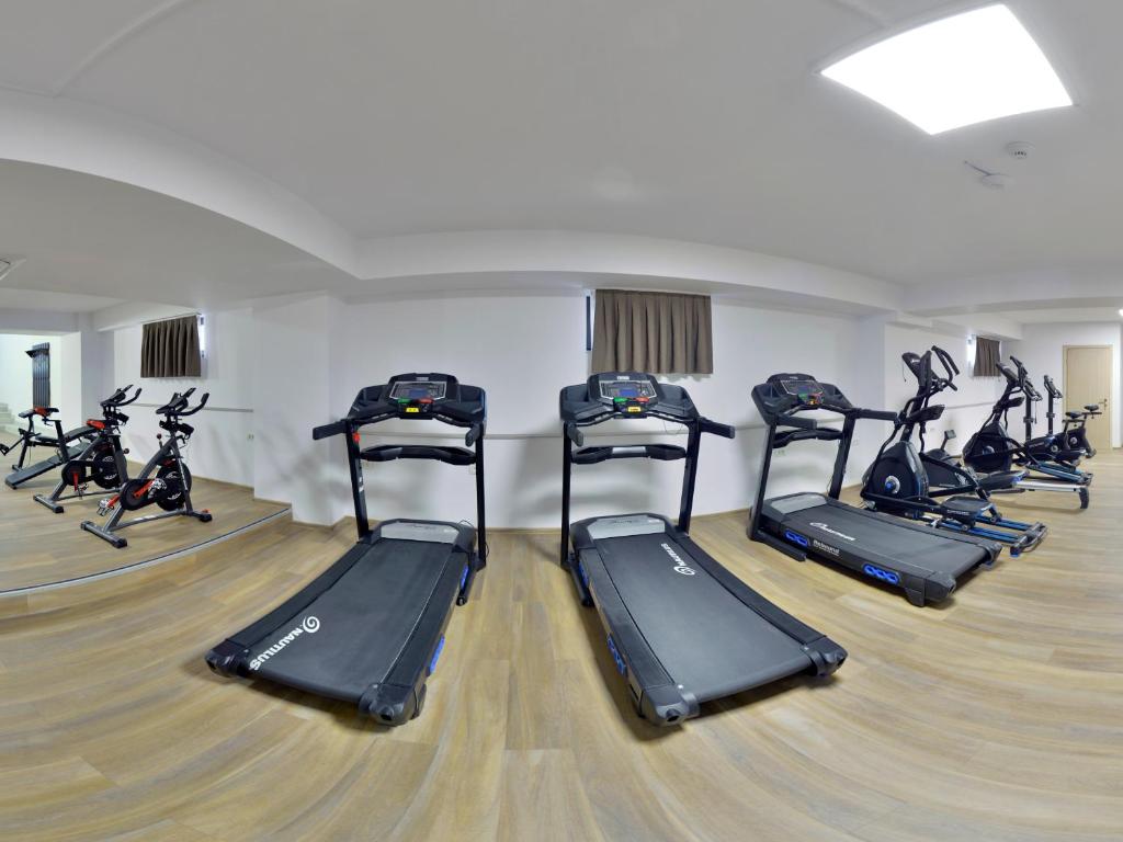 Fitness centrum a/nebo fitness zařízení v ubytování Hotel Condor Tulcea