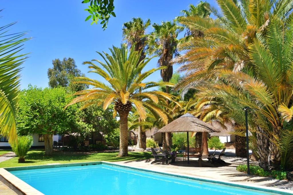 een zwembad met palmbomen en een parasol bij Central Hotel Omaruru in Omaruru