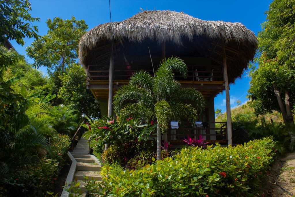 Los Naranjos – Photos 2