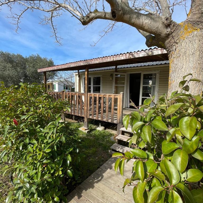 Cette petite maison dispose d'une terrasse couverte et d'une terrasse en bois. dans l'établissement Parc Résidentiel La Listra - Bungalow, à Belgodère