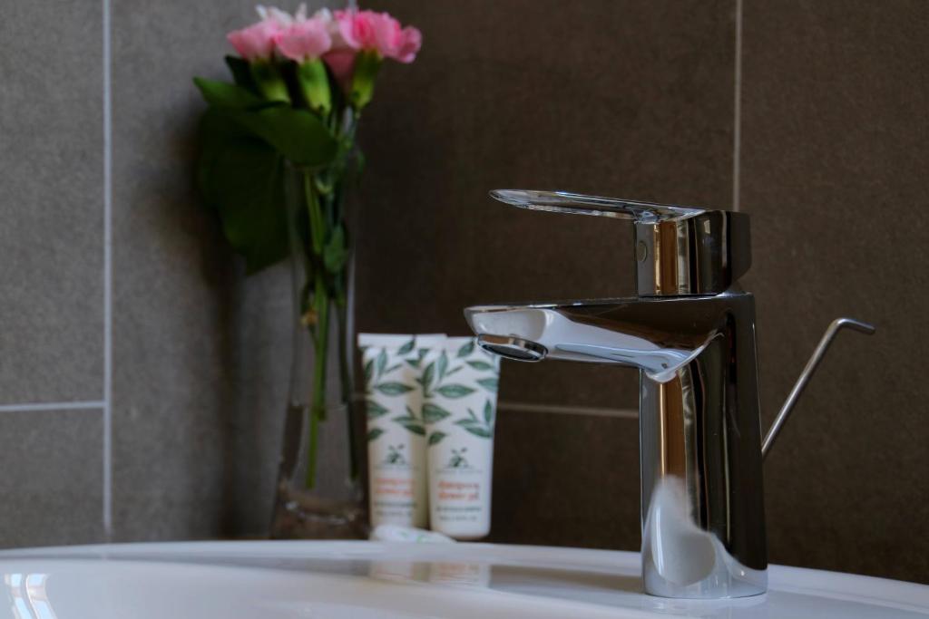 Casa Calfelor Kolping Timi?oara - Resim 22