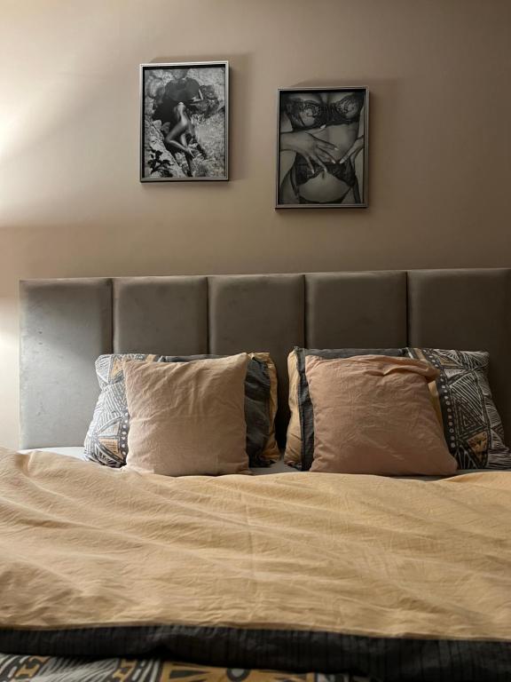 a bed with two pillows and two pictures on the wall at Italiana lux in Leskovac