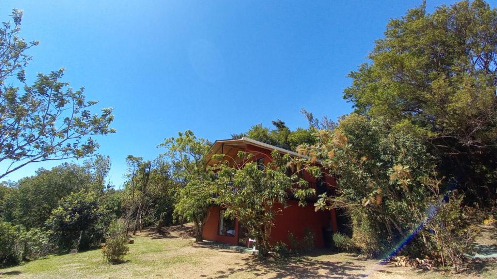 une maison rouge au milieu des arbres dans l'établissement Casa de Montaña Tica Linda, à Monteverde Costa Rica