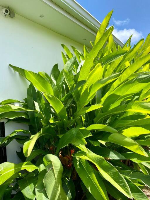 Giardino di CASA FERDI 1, logement entier avec piscine privée