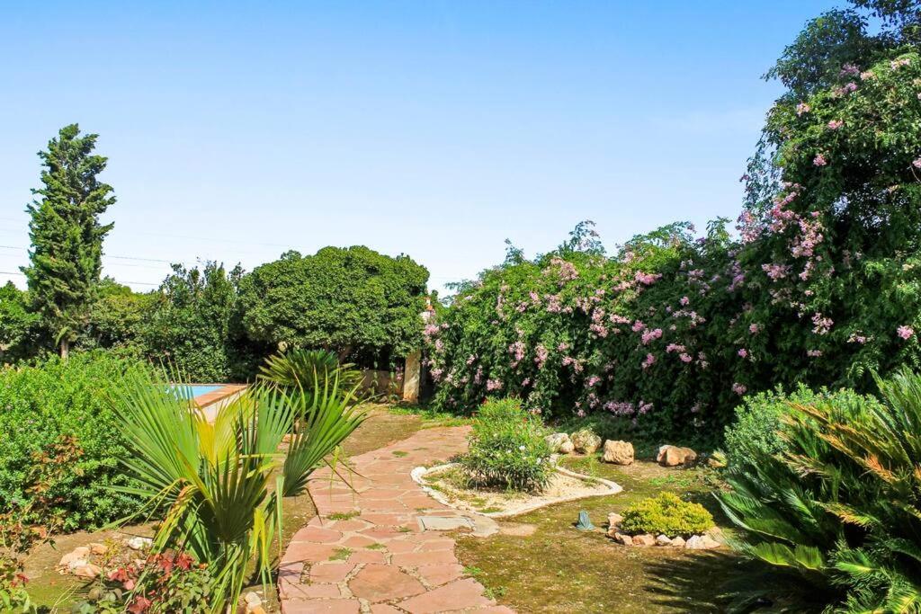 Huerto Valenciano - Sol y Tranquilidad - Piscina, Valencia ...