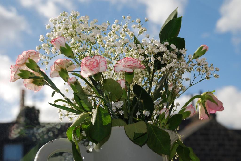 Giardino di Springdale Guest House