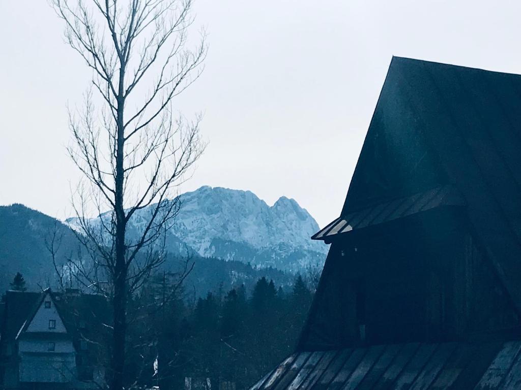 Výhľad na hory alebo výhľad na hory priamo z privátu