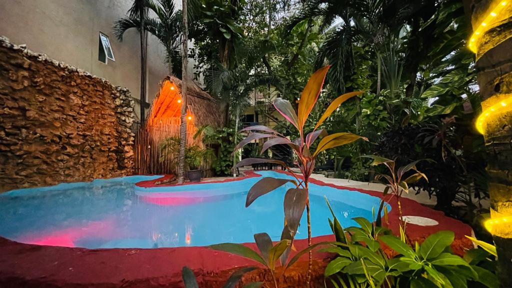 uma piscina num quarto com plantas em Hotel B&B - 5th Avenue em Playa del Carmen