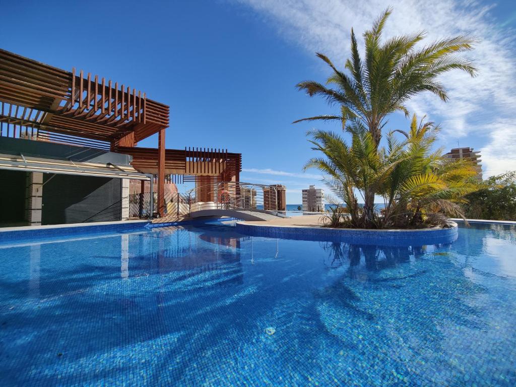une grande piscine avec un palmier à côté d'un bâtiment dans l'établissement SUNSET DRIVE superb apartment, à Benidorm