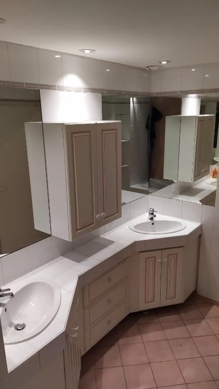 a bathroom with a sink and a mirror at Gite la Péraie - Le Roseau in Treize-Vents
