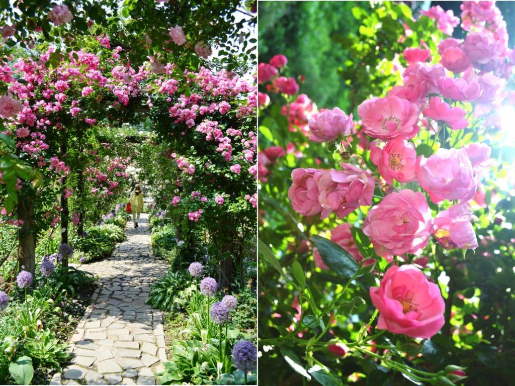 Giardino di Hotel Resorpia Atami