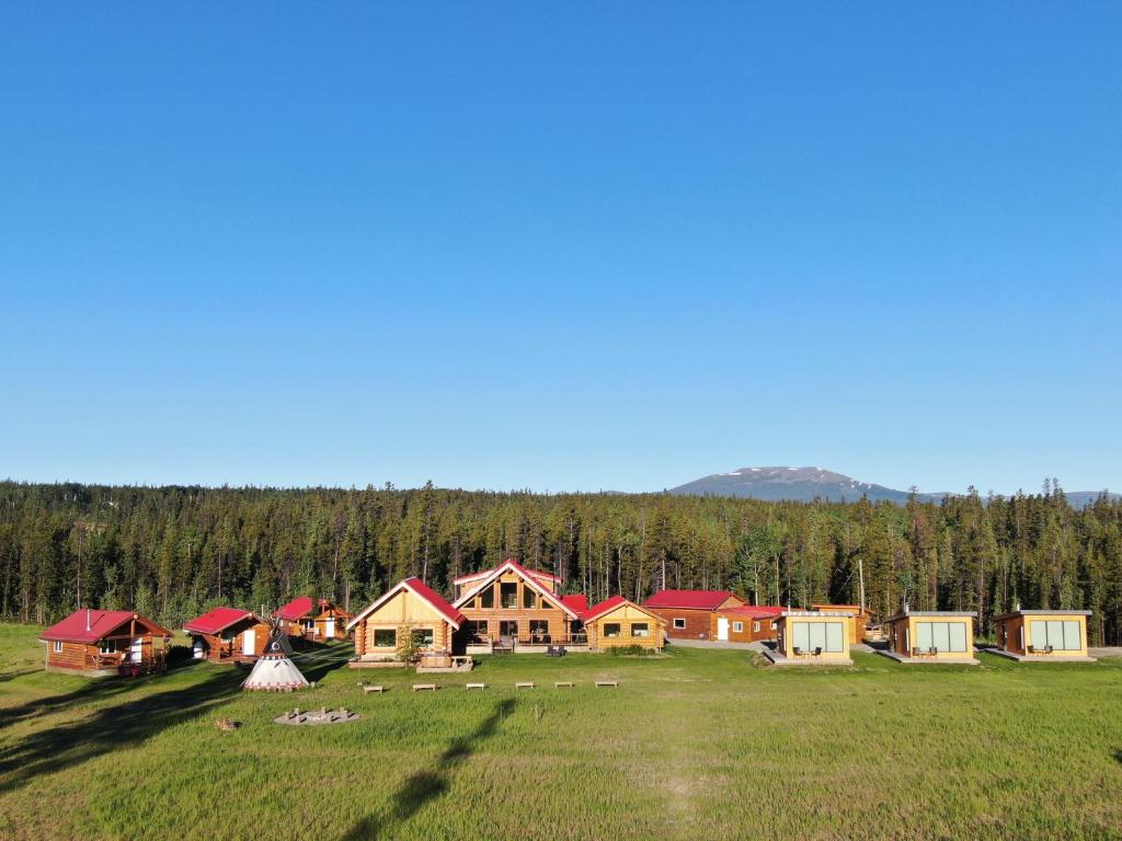a group of houses in a field with trees at Northern Lights Resort & Spa in Whitehorse
