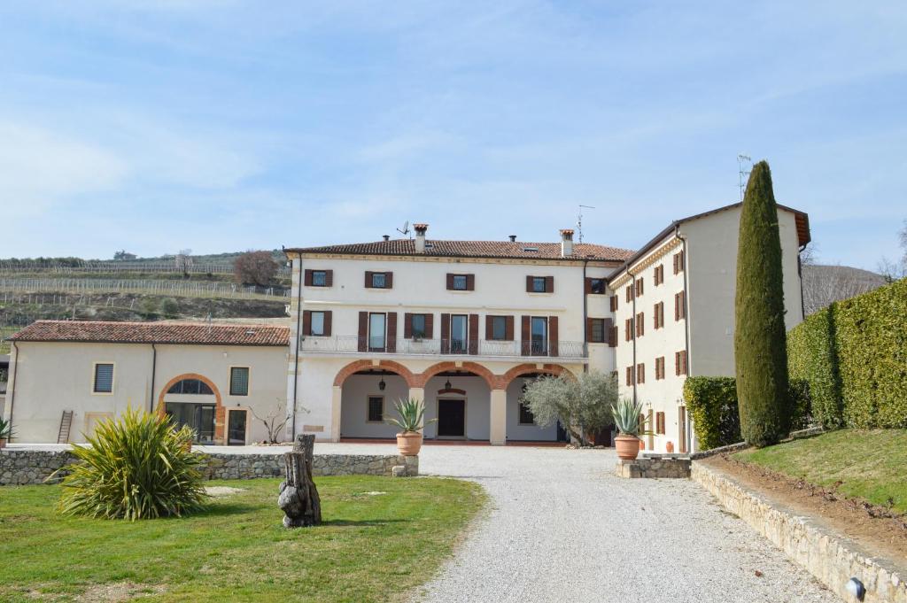 une grande maison blanche avec une allée. dans l'établissement VerdeOlivo 1876, à Mezzane di Sotto