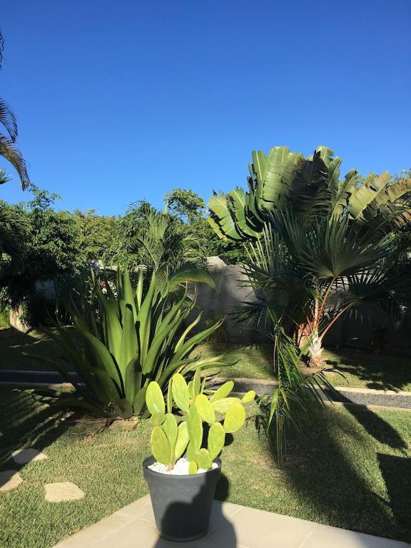 Zahrada ubytování Villa La Belle Creole