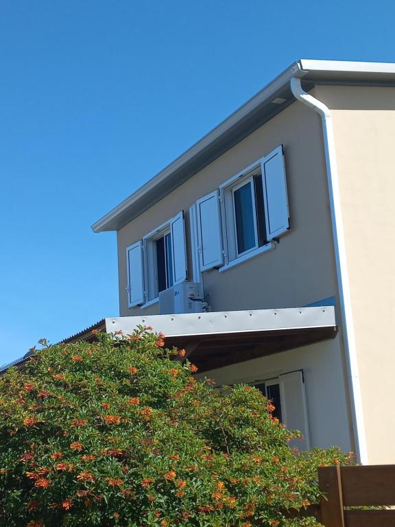 un edificio con un árbol delante de él en La case à coco, en Petite Île