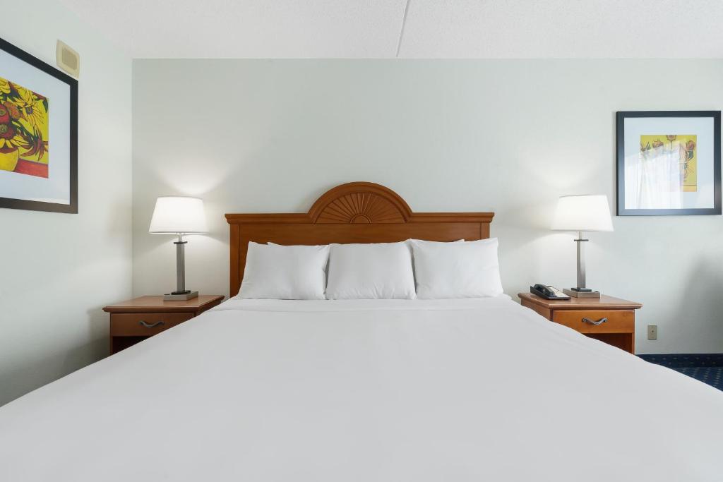 Thousand Hills Resort Hotel - Deluxe King Room