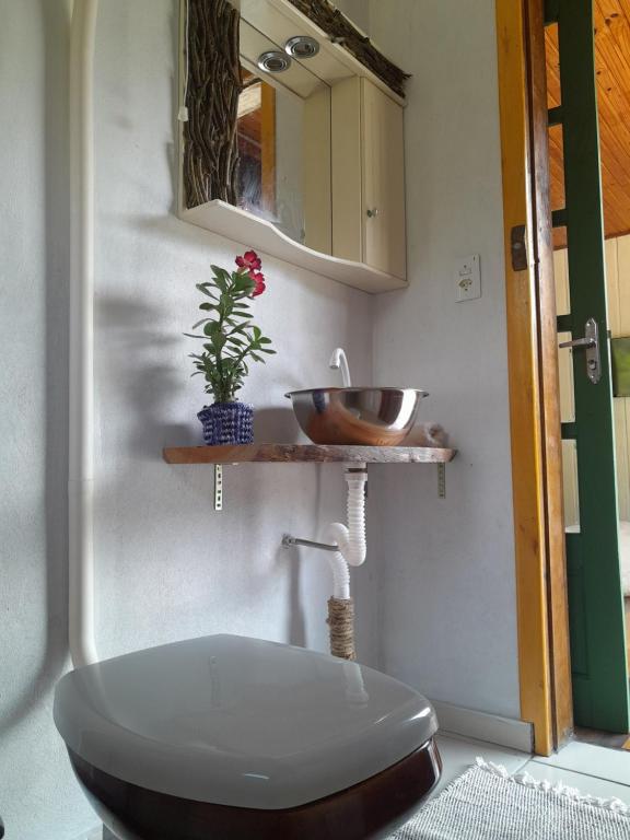 ein Bad mit einem WC und einem Waschbecken in der Unterkunft Morada Vale das Águas in São Bonifácio