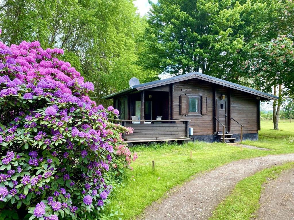 a small cabin with purple flowers in front of it at Cozy holiday home on a horse farm in the Lüneburg Heath in Eschede