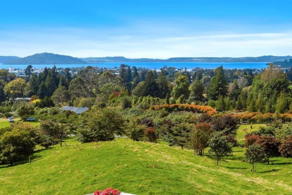 a grassy hill with trees and water in the background at Aww Sheep-Uninterrupted Panoramic View with Spa in Rotorua