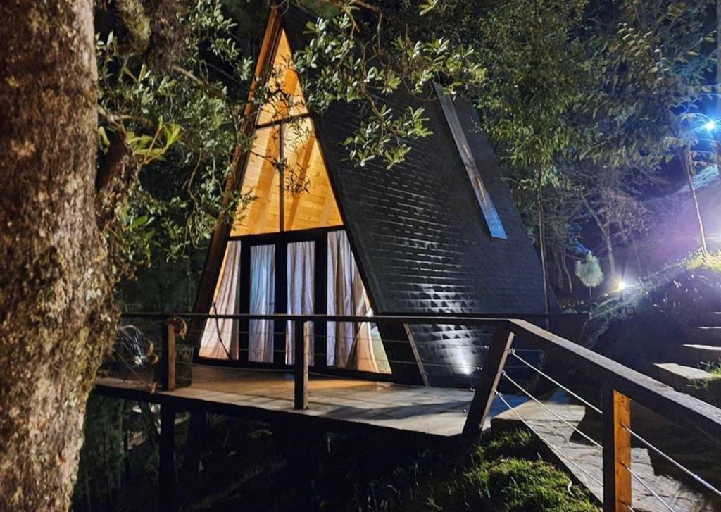 una casa en un bosque por la noche en Hotel Sierra Tigre, en Mazamitla
