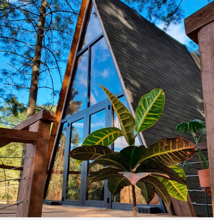 Zahrada ubytování Hotel Sierra Tigre