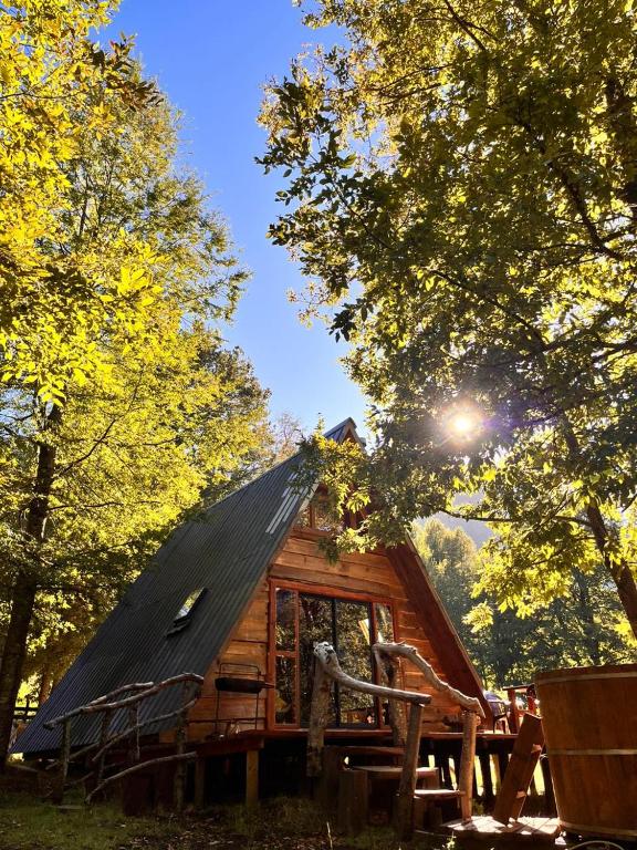 eine Hütte mit einem Strohdach im Wald in der Unterkunft Alpinas de Sollipulli refugio llaima in Melipeuco