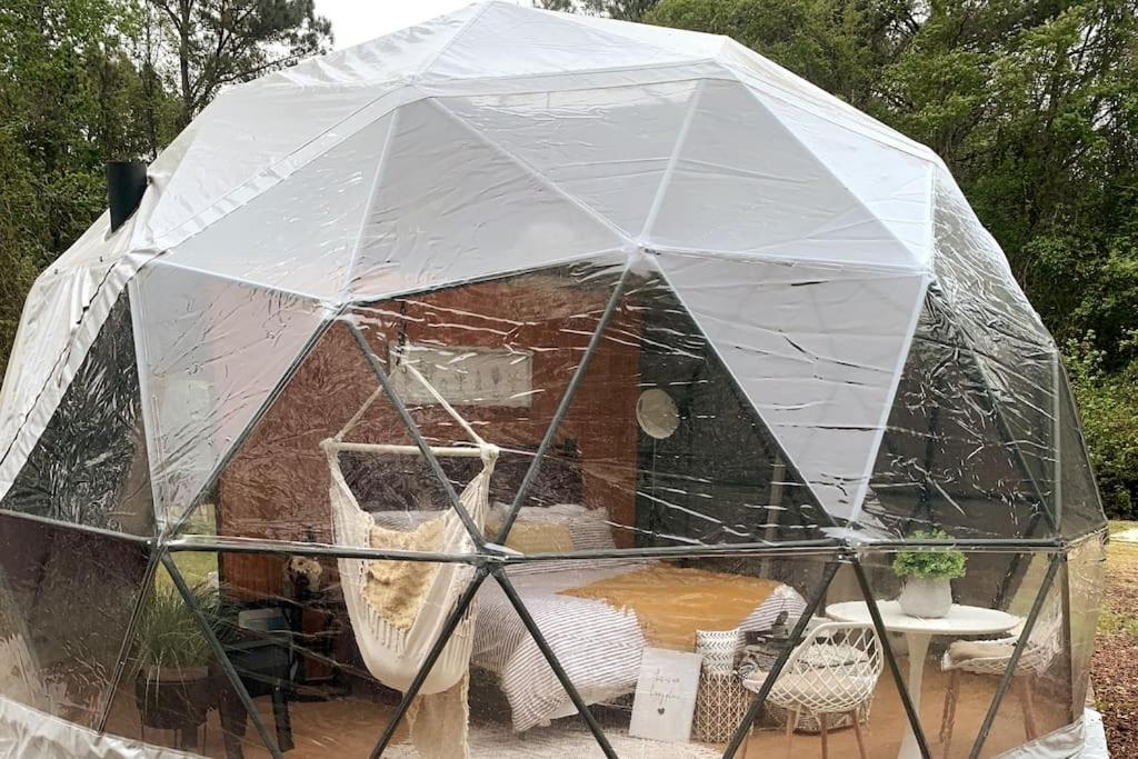 Charming Glamping Dome: Wineries, Wine & Romance, Wallace – Updated 2023  Prices