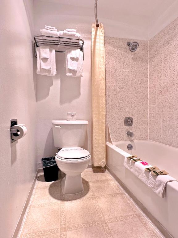 Economy Inn - Standard Queen Room