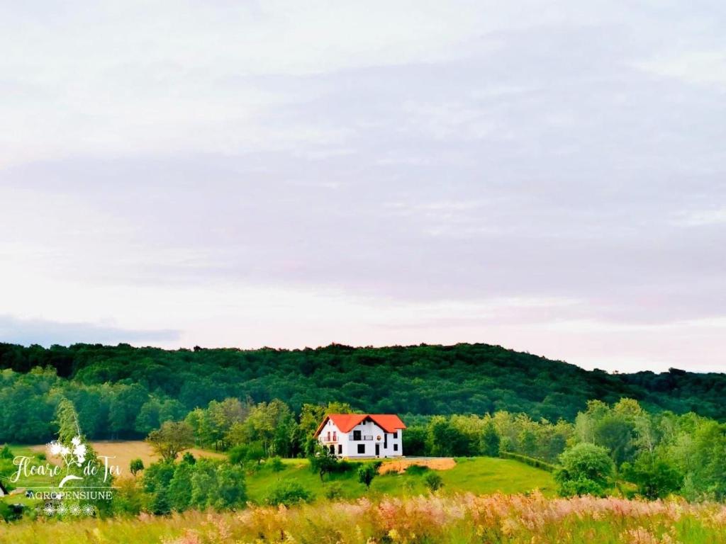 ein weißes Haus auf einem grünen Feld mit Bäumen und einem Hügel in der Unterkunft Agropensiunea Floare de Tei in Cărpiniş