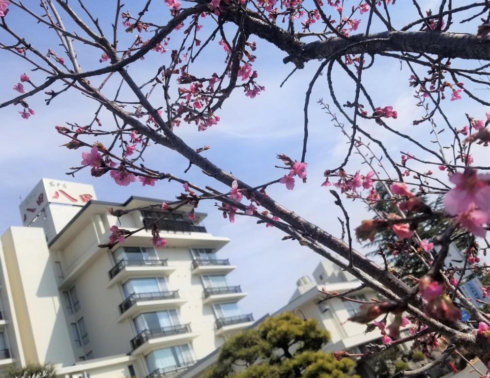 Fotografie z fotogalerie ubytování Hotel Hatta v destinaci Fuefuki
