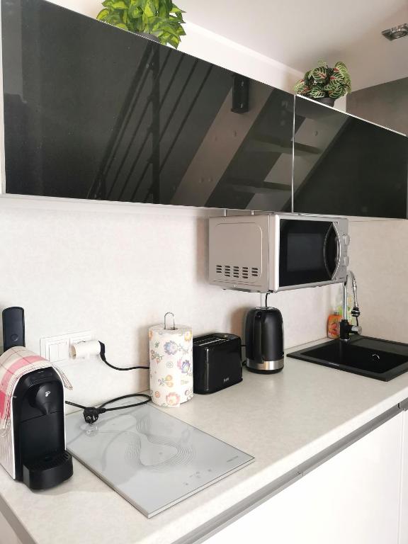 Kuchyňa alebo kuchynka v ubytovaní STRANDIDYLLE Apartment mit Meerblick und Kamin