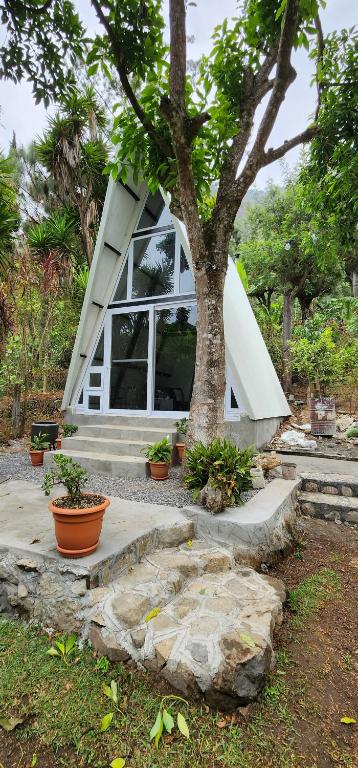 uma pequena casa com uma árvore em frente em Pink house em San Lucas Tolimán