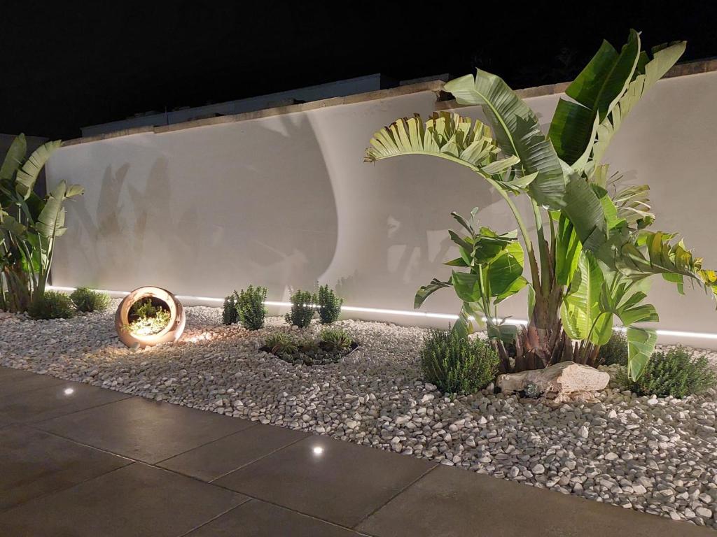 um jardim com plantas em frente a uma parede branca em B&B La Porta sul Mare a Porto Cesareo em Torre Squillace