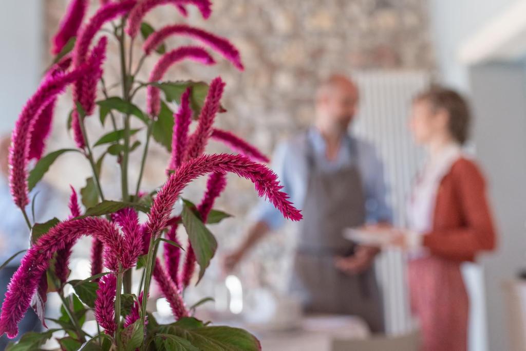 Hosté ubytování Villa di Cazzano - BioLuxury Living