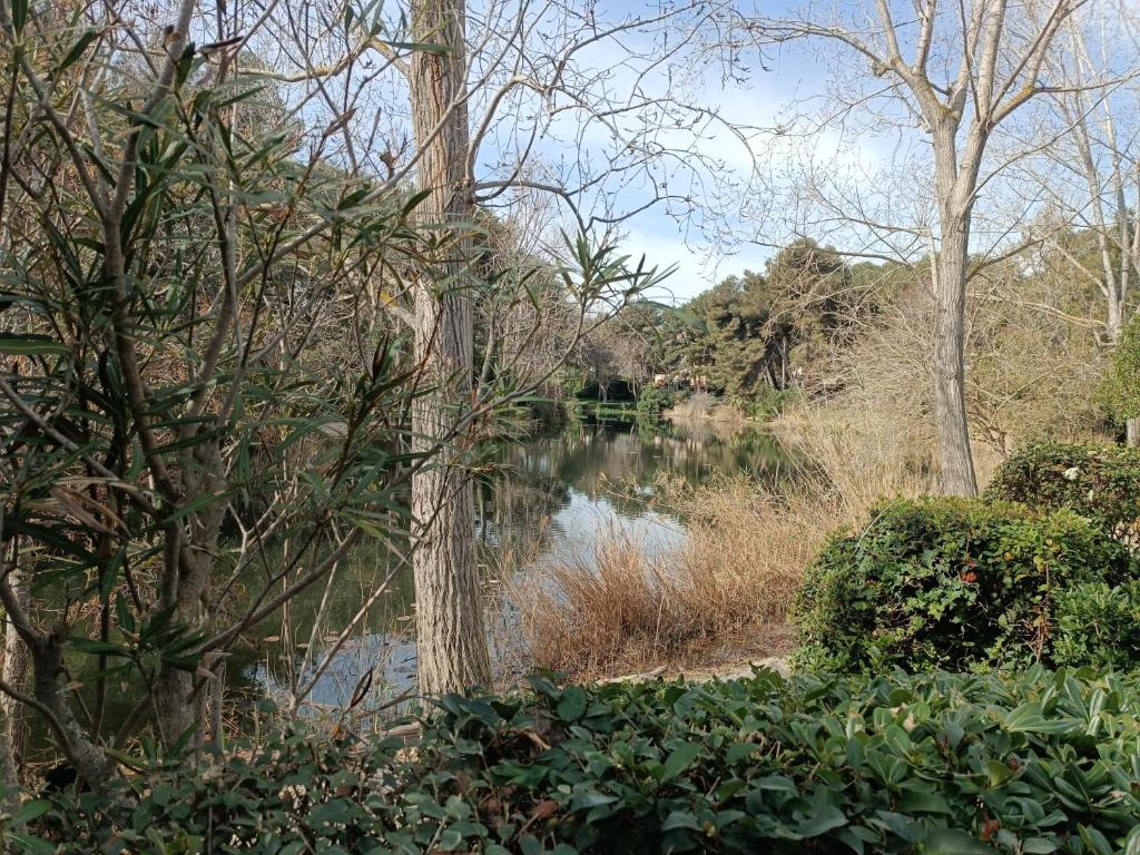 uitzicht op een rivier in een bos met bomen bij Boost Your Immo Six Fours Les Plages Le Rouveau 875 in Six-Fours-les-Plages