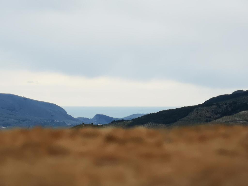 Příroda nedaleko venkovského domu