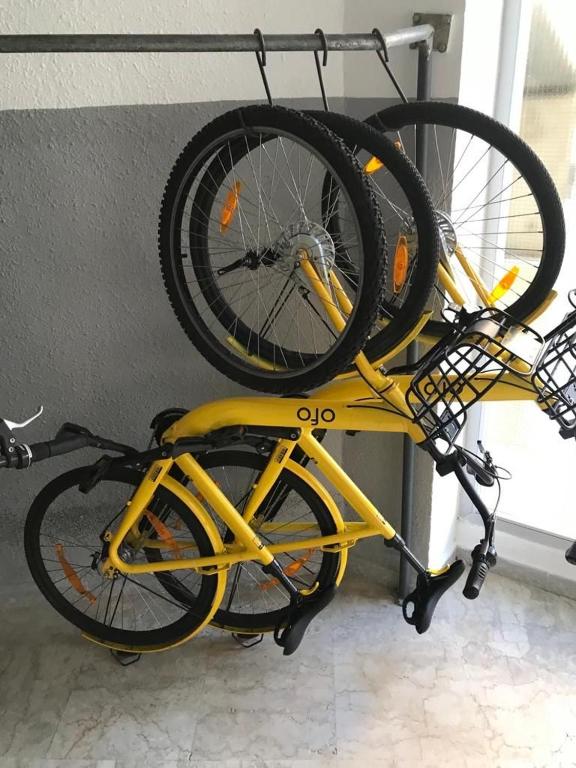 Jízda na kole v ubytování Bow Sea Apartment nebo okolí