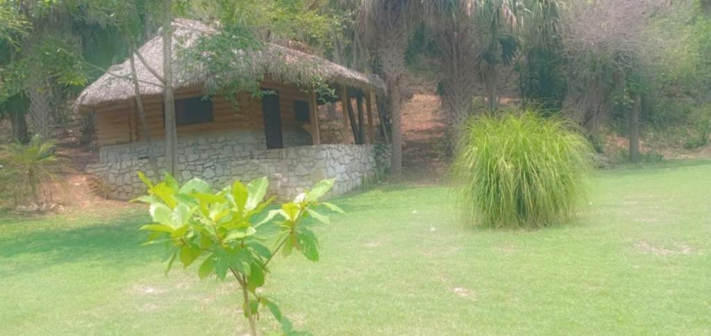 a small house in a yard with a green lawn at Room in Cabin - Cabins Sierraverde Huasteca Potosina sierra cabin in Damían Carmona