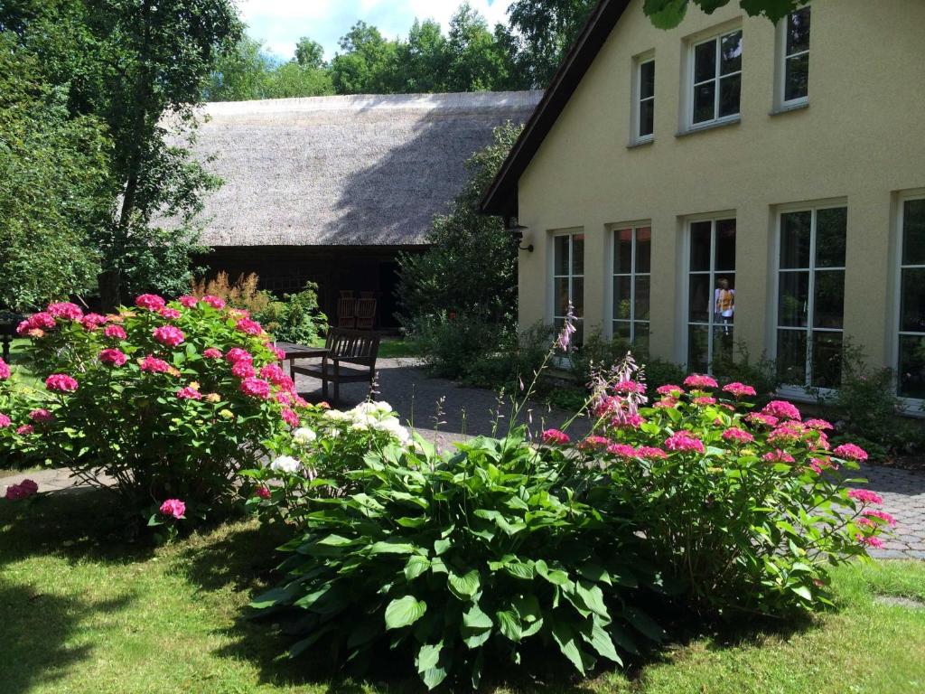 una casa con fiori rosa nel cortile di Fewo Schlangenkönig a Lehde