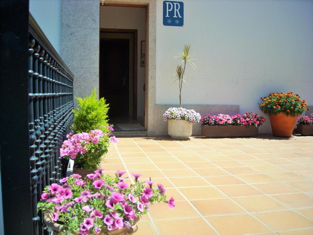 Vonkajšia záhrada v ubytovaní Hostal Santa Marta Playa