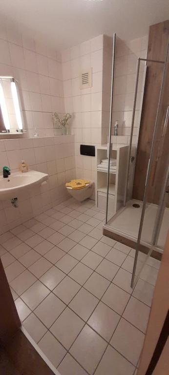 ein Bad mit einer Dusche, einem WC und einem Waschbecken in der Unterkunft Domblick in Meißen