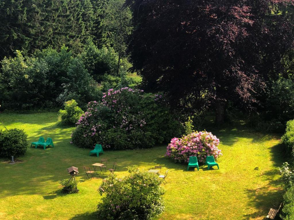 einen Garten mit Stühlen und Blumen im Gras in der Unterkunft Berghotel HARZ in Hahnenklee-Bockswiese