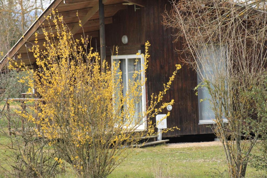 a small wooden house with a white door at CAMPING DE LA CHALARONNE in Saint-Didier-sur-Chalaronne