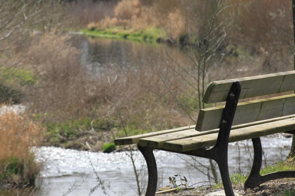 a park bench next to a body of water at CAMPING DE LA CHALARONNE in Saint-Didier-sur-Chalaronne