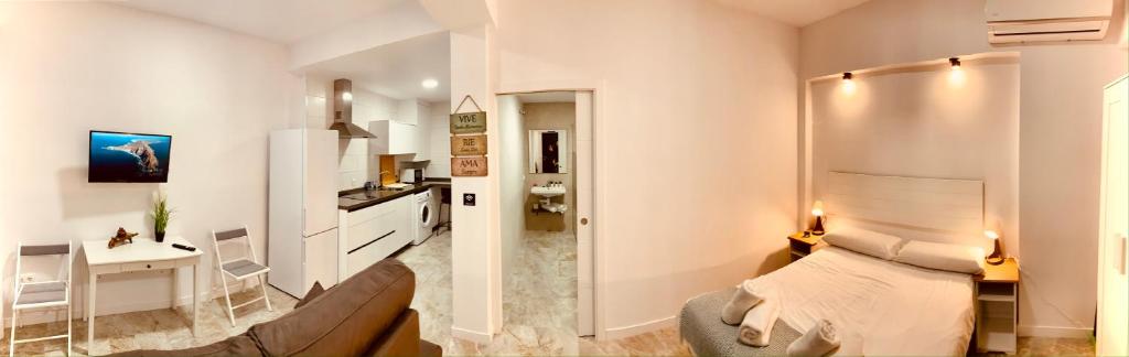 P&C APARTMENTS - Complejo Pintor Zurbarán - 14