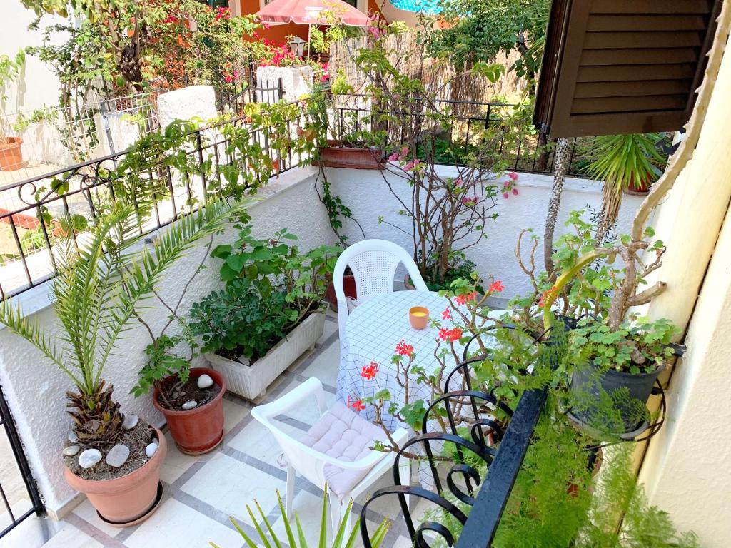 balcón con mesa, sillas y plantas en Spiros Apartments - Agios Gordios Beach, Corfu, Greece en Agios Gordios